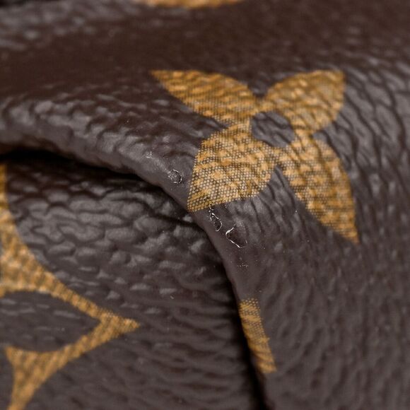 Louis Vuitton Palm Springs PM Rucksack Monogram Backpack - Picture 6 of 12